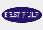 Best Pulp