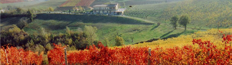 Fazenda - “Azienda Agricola Sereni Pierluigi”